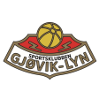 Gjoevik-Lyn