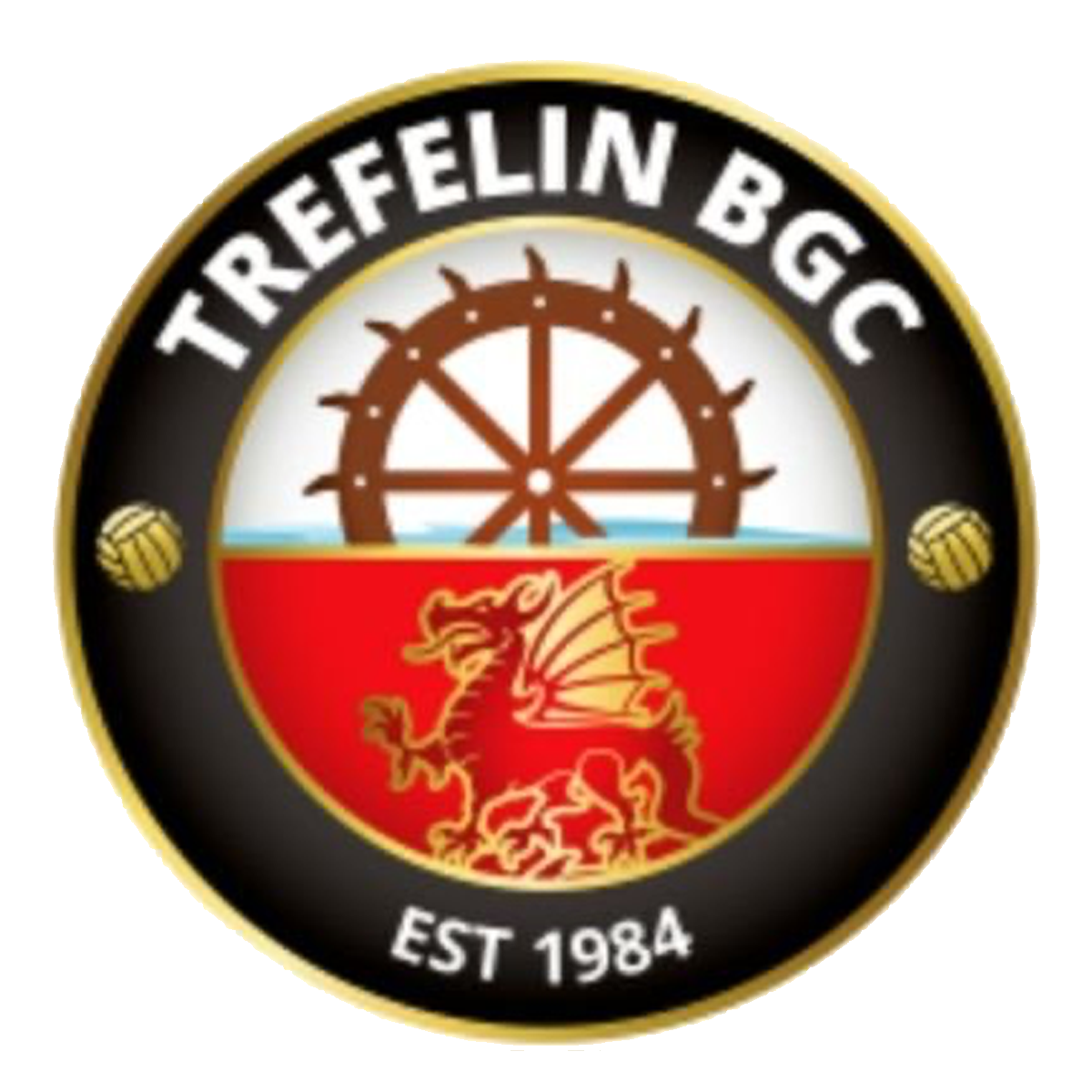 Trefelin BGC