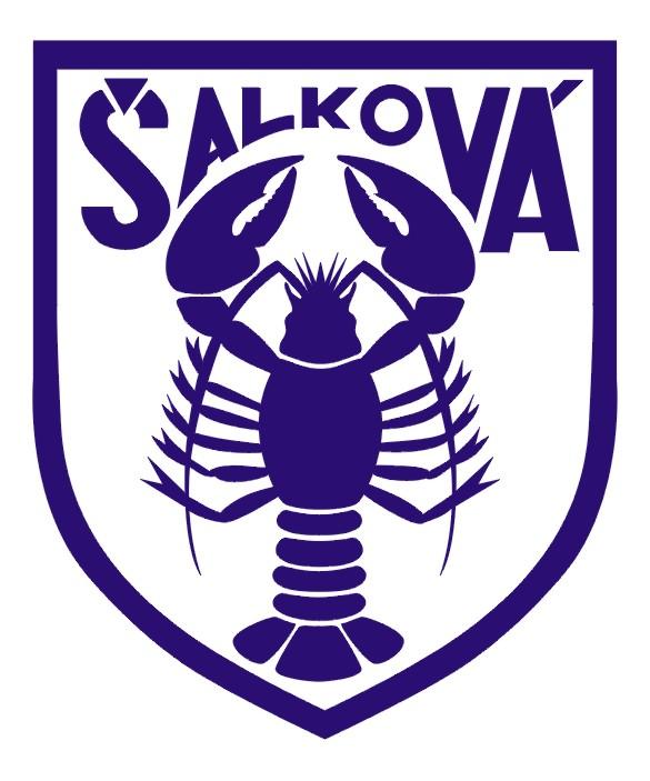 FK Salkova