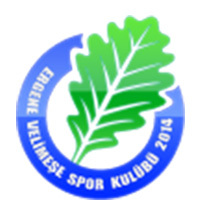 Ergene Velimese Spor