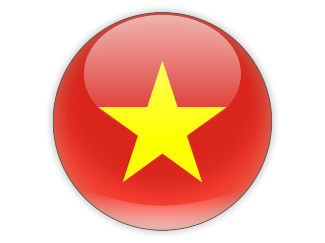 Logo ĐT Việt Nam