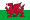 Logo Wales U17