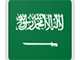 Logo ĐT Saudi Arabia