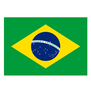 Logo Brazil