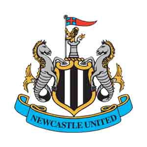 Logo Newcastle