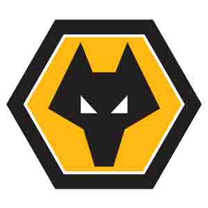 Logo Wolves U21
