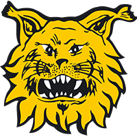 Logo Ilves