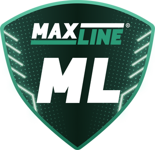 Logo Maxline Rogachev