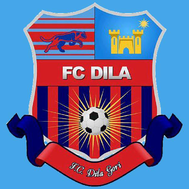 Logo Dila Gori