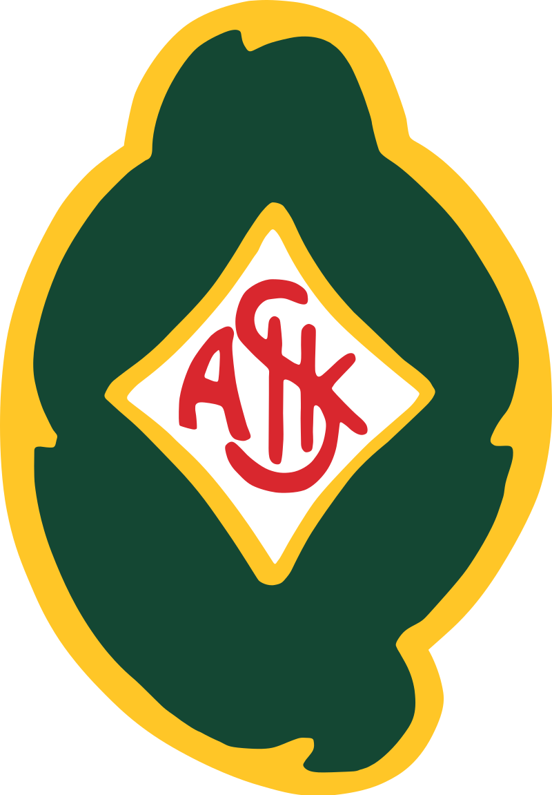 Logo Skoevde AIK