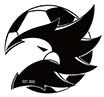 Logo Toronto Falcons