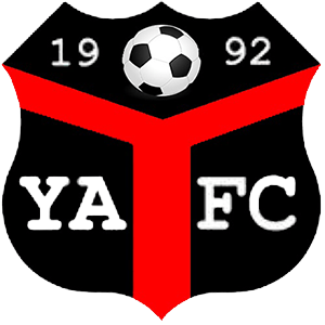 Logo Ynyshir Albions
