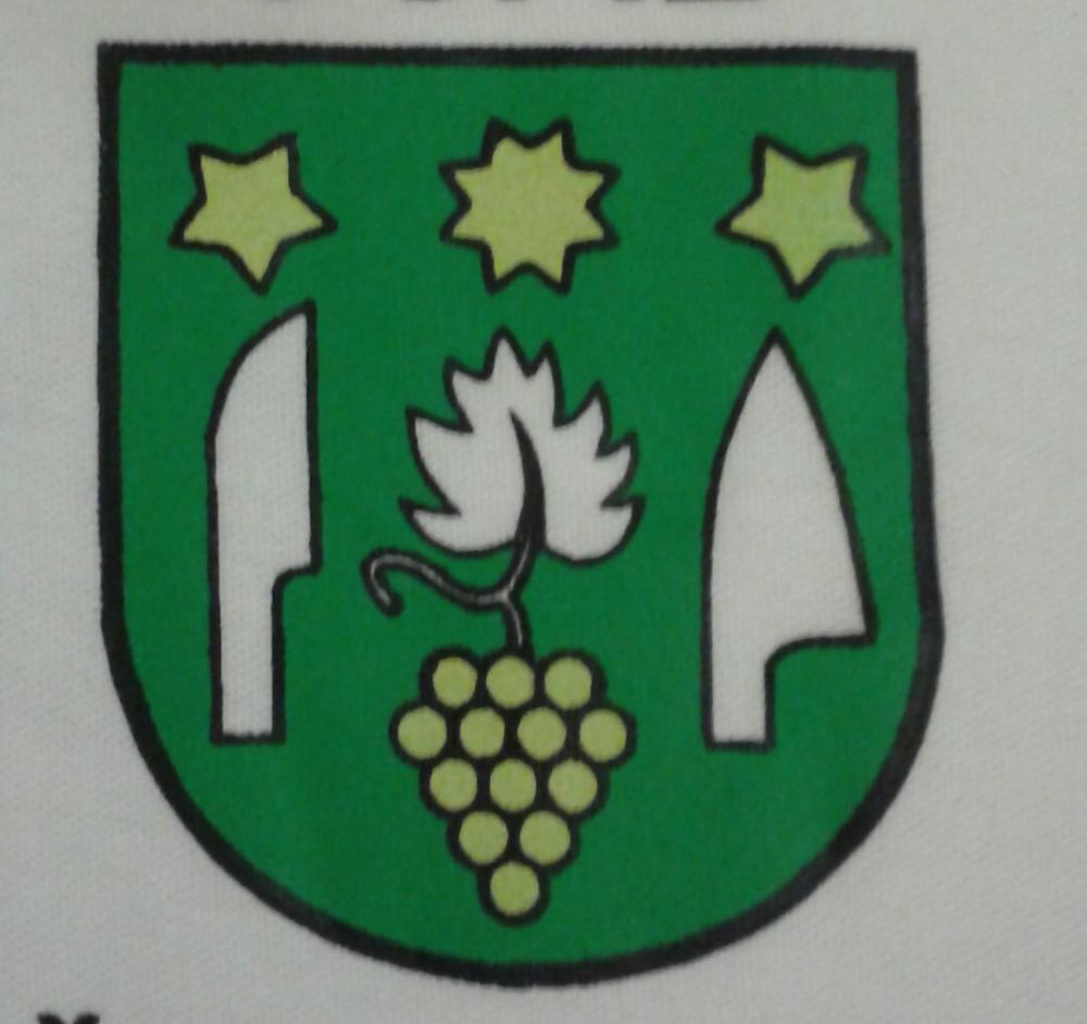 Logo Tj Vinohrad Cebovce