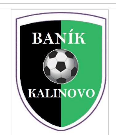 Logo Tj Banik Kalinovo