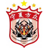 Logo Ningxia Fangzhong