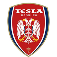 Logo SSG Nikola Tesla Hamburg