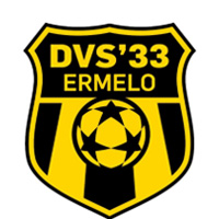 Logo DVS 33