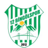 Logo 12 Bingol Spor