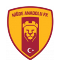 Logo Nigde Anadolu FK