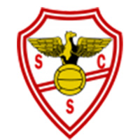 Logo SC Salgueiros