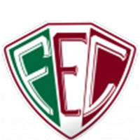 Logo Fluminense PI