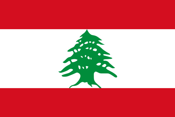 Logo Lebanon W