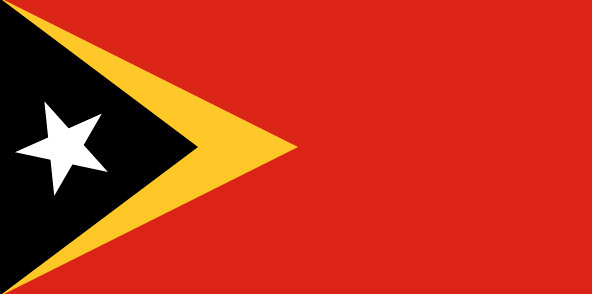 Logo Timor-Leste W