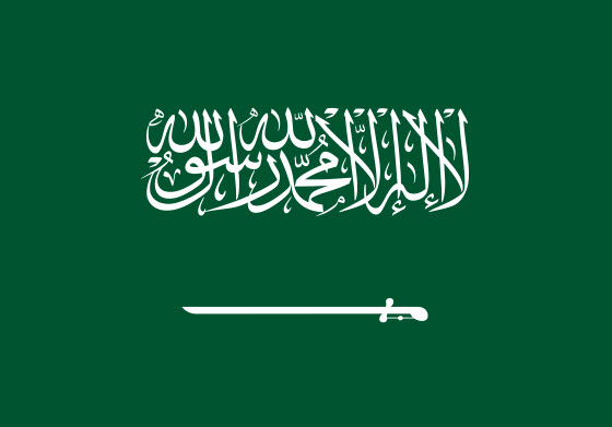 Logo Saudi Arabia
