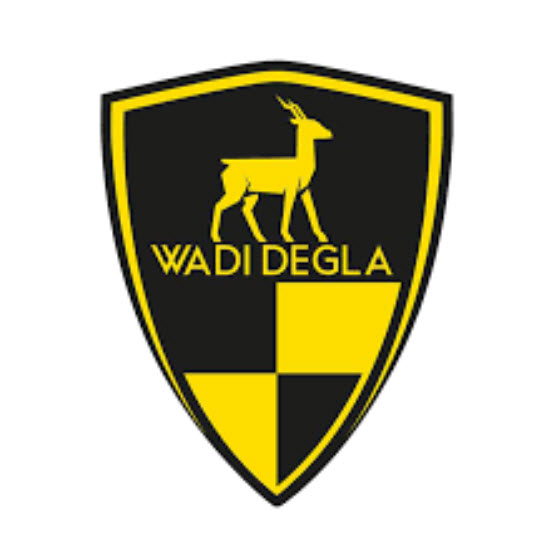 Logo Wadi Degla FC